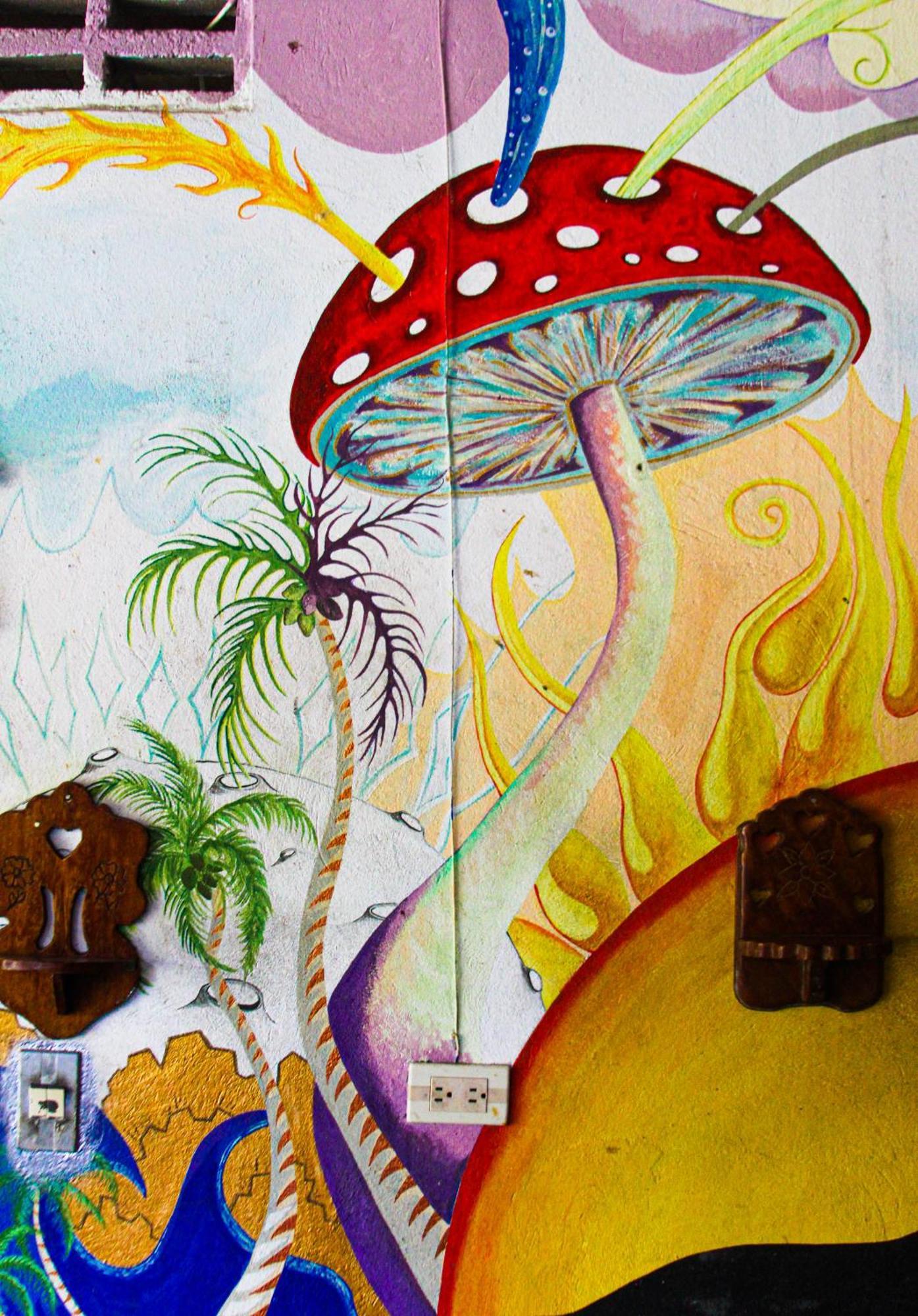 Hotel Casa Surf Mar Azul à Palomino Extérieur photo