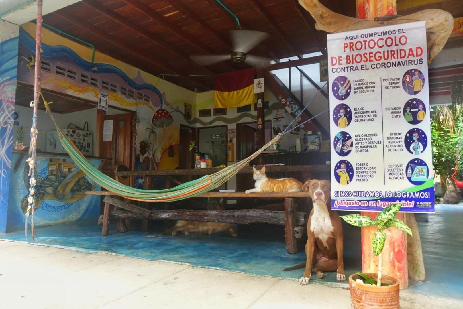 Hotel Casa Surf Mar Azul à Palomino Extérieur photo