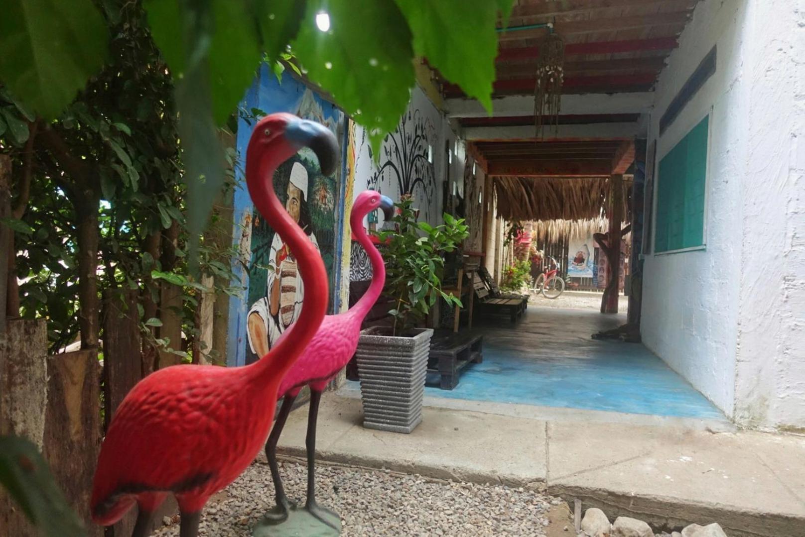 Hotel Casa Surf Mar Azul à Palomino Extérieur photo