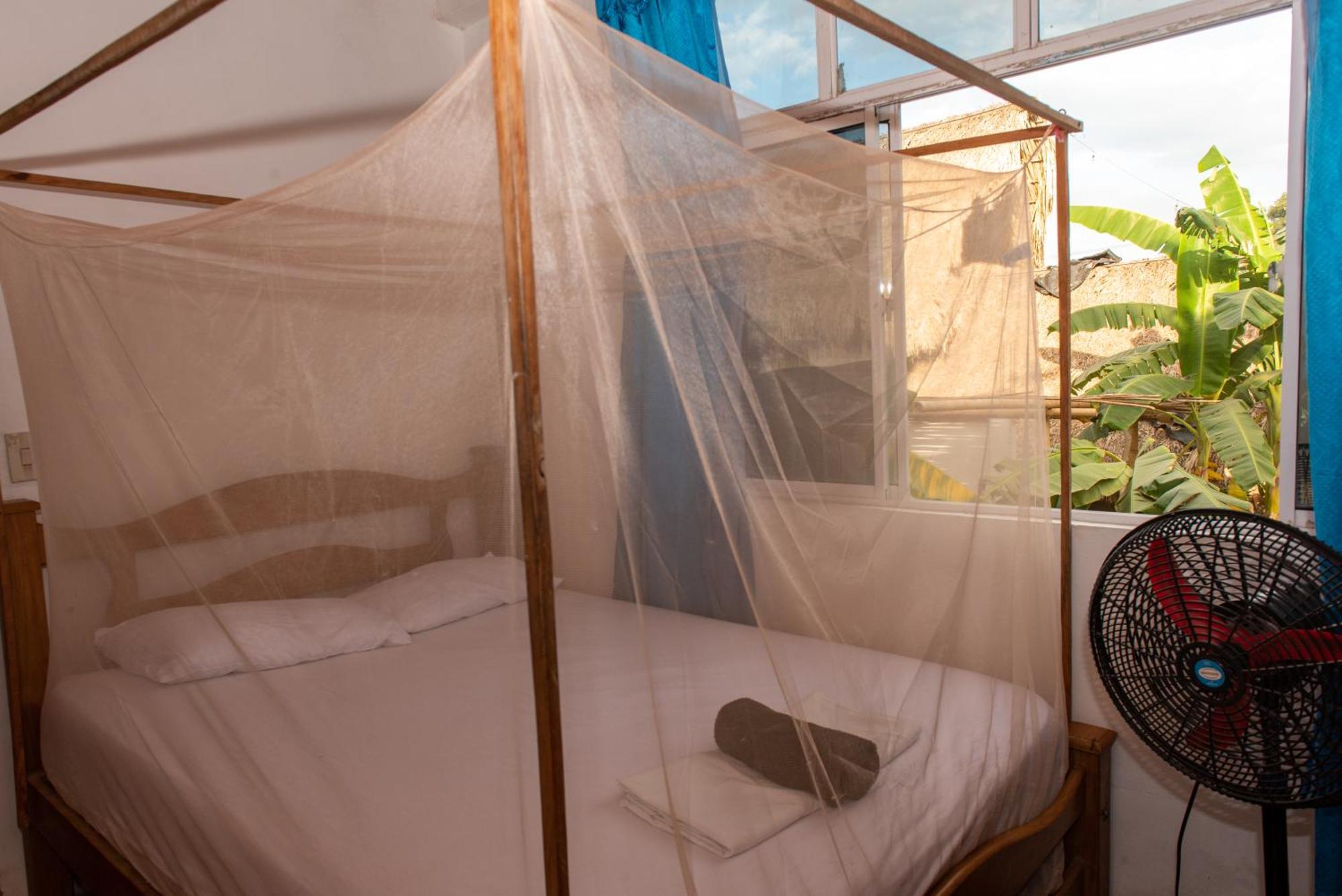 Hotel Casa Surf Mar Azul à Palomino Chambre photo